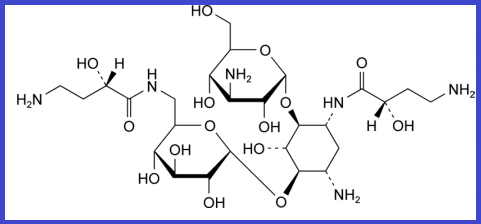 AMIKACIN EP IMPURITY F